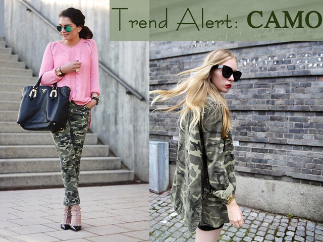 camo(640X480).jpg