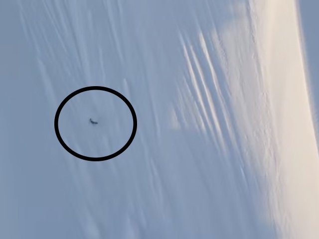 Canadian tumlbes down mountain face