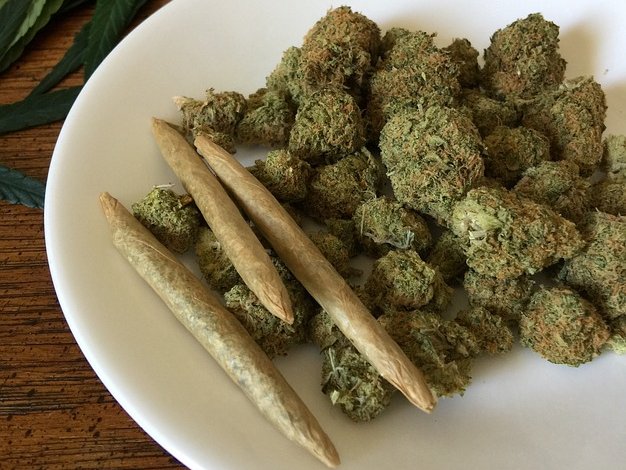 Dagga cannabis weed
