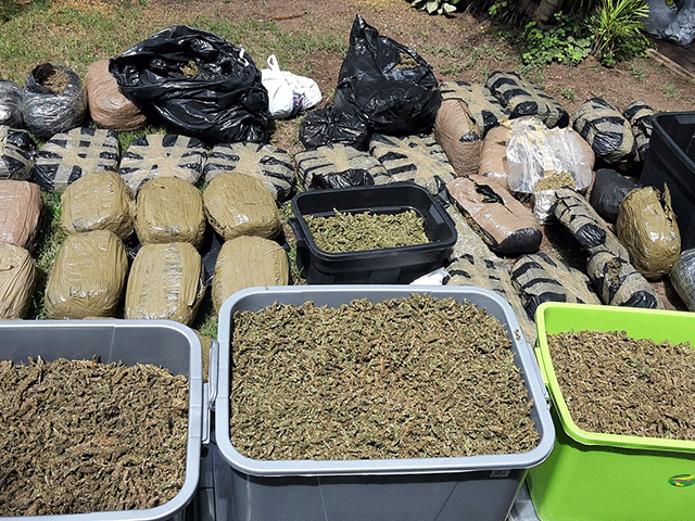 Durban man caught with R1-million worth of dagga in court