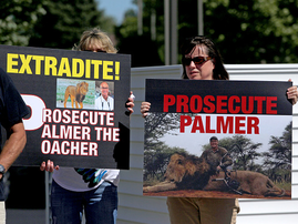 cecil-protest_getty.png