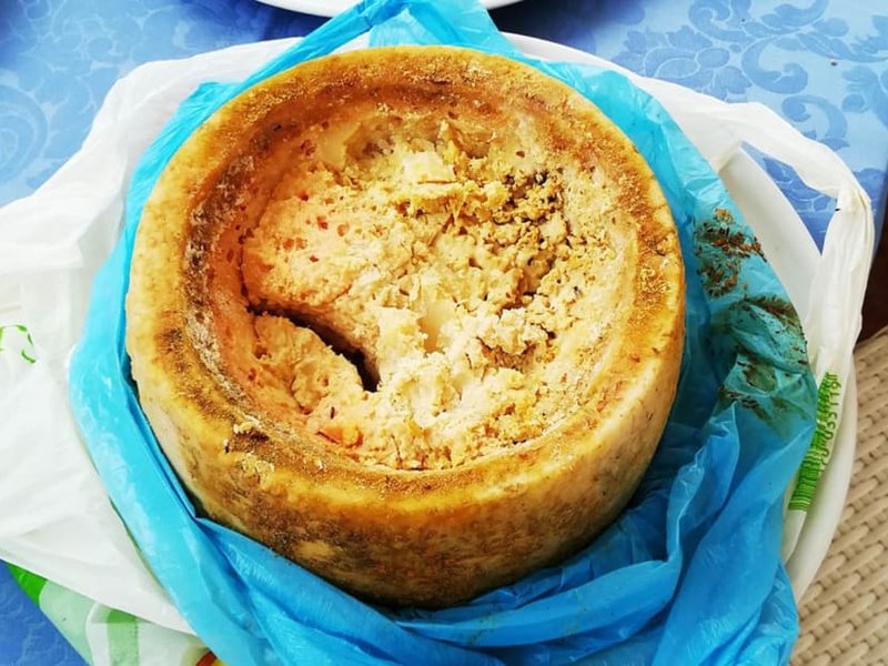 Casu marzu