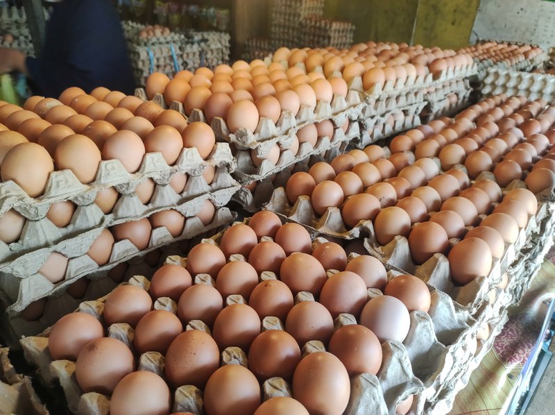 Chicken eggs on carton iStock image