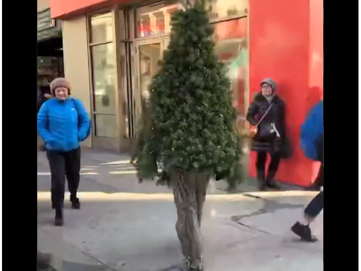christmas tree in new york