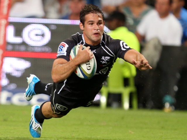 cobusreinach_gallo.jpg