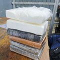 cocaine bust