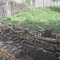 Daveyton pupil killed by collapsed school wall