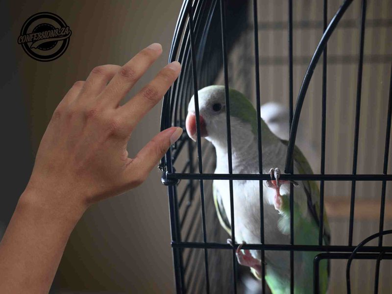 "I let my girlfriend’s carrot out the cage and helped her 'look' for it after"