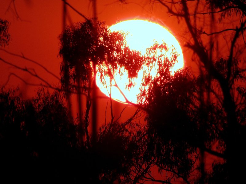 Heatwave