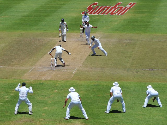 cricket_test_generic_gallo.jpg