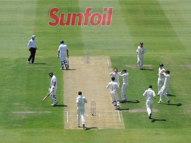 cricketgenericTest_gallo_22.jpg