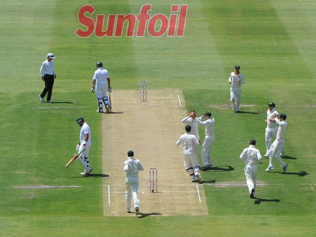 cricketgenericTest_gallo_5.jpg