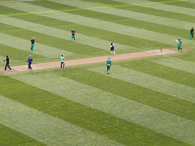 cricketpitch_anesh-debiky_gallo_10.jpg