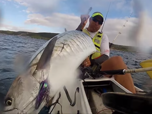 cuta-fishing-sportswave.png