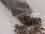 dagga_gallo.jpg