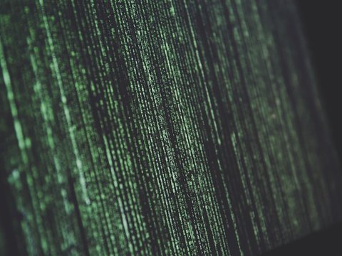 data leak