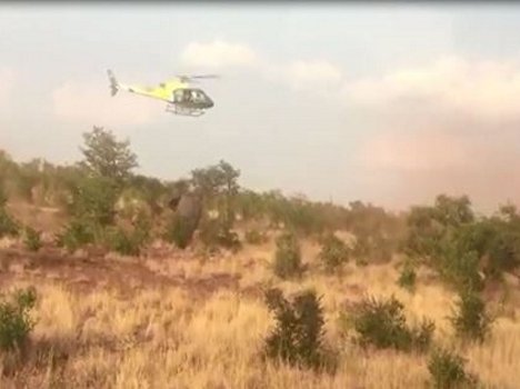 Day in the life if a ranger 2