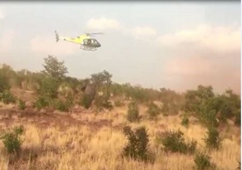 Day in the life if a ranger 2