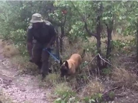 Day in the life if a ranger 4