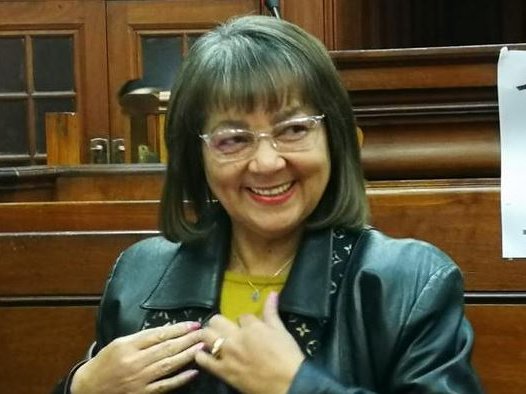de Lille in Western Cape High Court