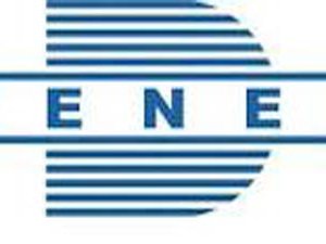 denel.jpg