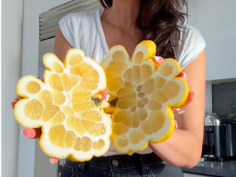 Strange lemon shared in viral video