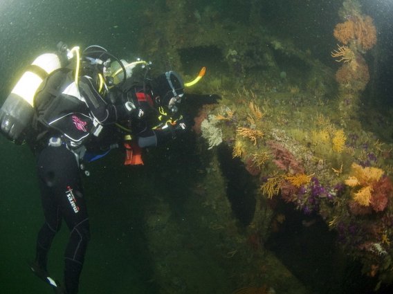 diver_1.jpg