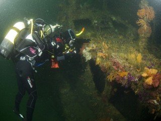 diver_1_post_detail_web_2.jpg