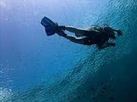 divers.jpg
