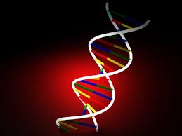 dna_1.jpg