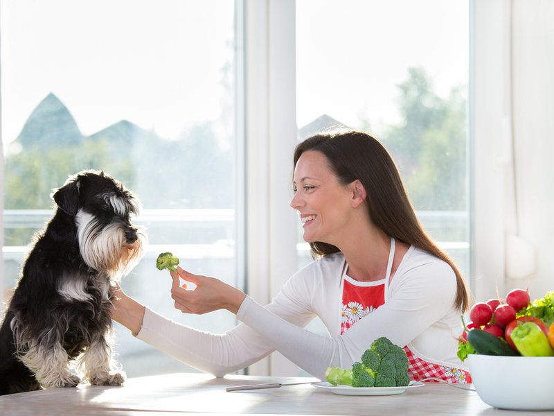 Woman feeding dog with broccoli