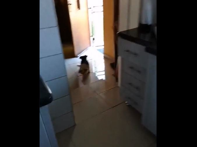 A lady talking to a dog