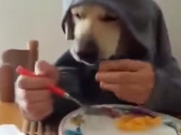 doggy_hands.jpg