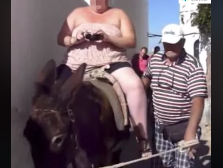 santorini donkey rides
