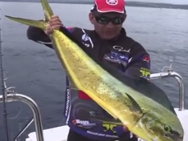 dorado-fishing-edited.png