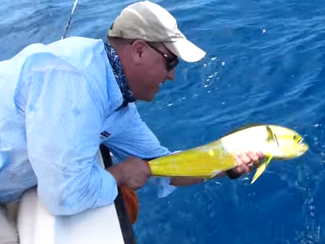 dorado-fishing-edited_2.png
