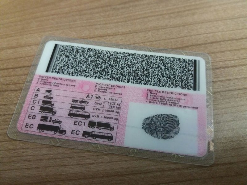 drivers licence