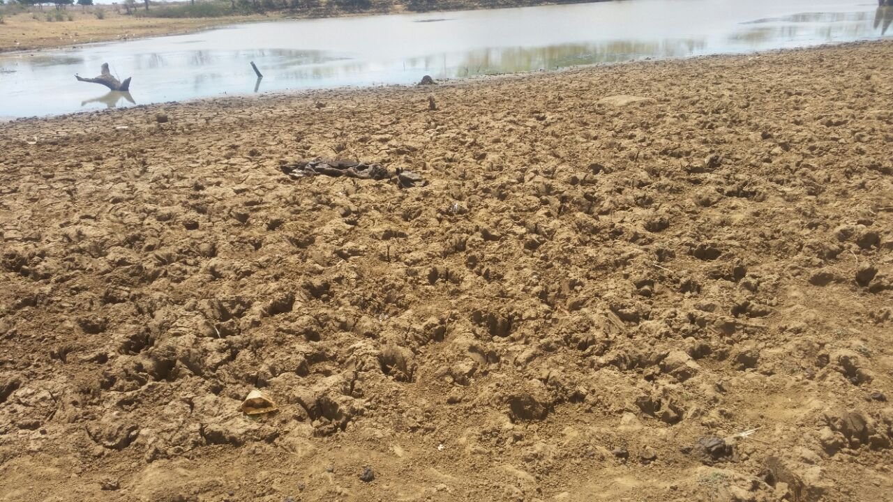 Limpopo Drought