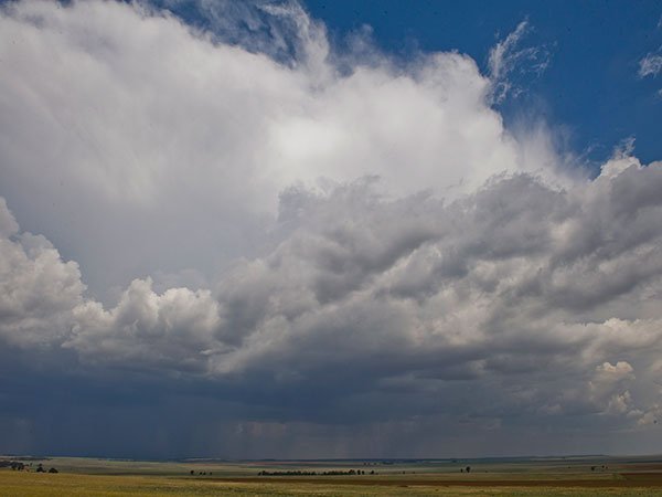 Weather