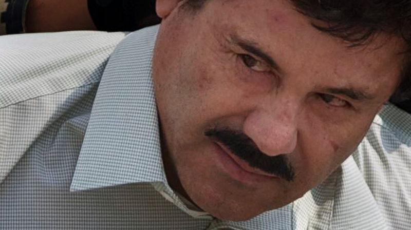 drug-lord.png