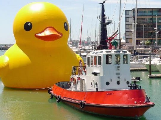 duck.jpg