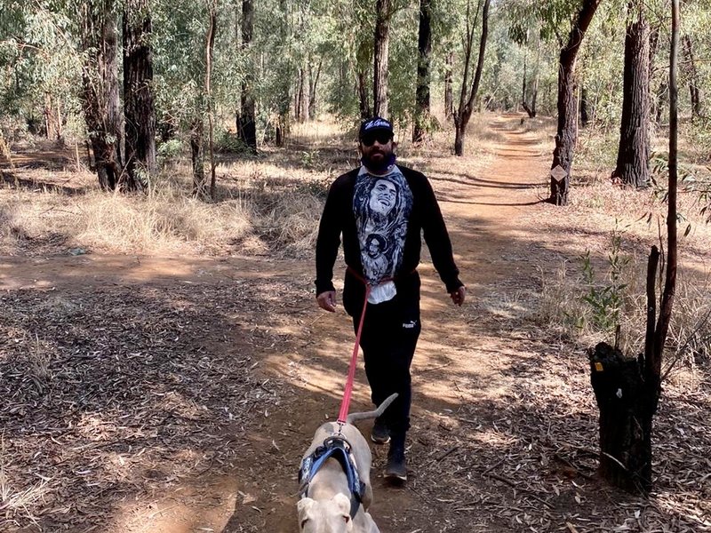 Martin hiking trail