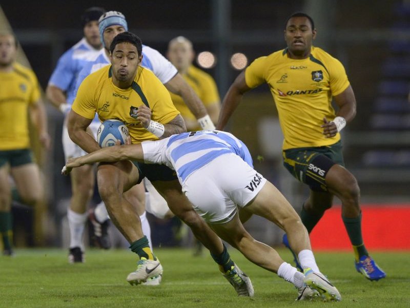 Wallabies