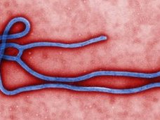 ebola_1.jpg