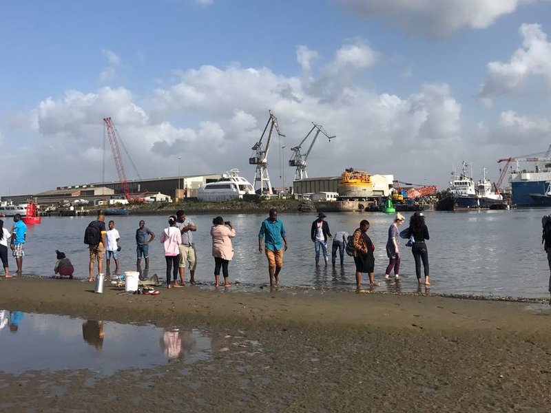 World oceans day