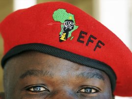 eff1.jpg