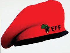 eff_5.jpg