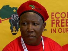eff malema_2.jpg