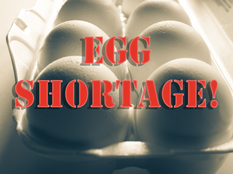 Egg shortage