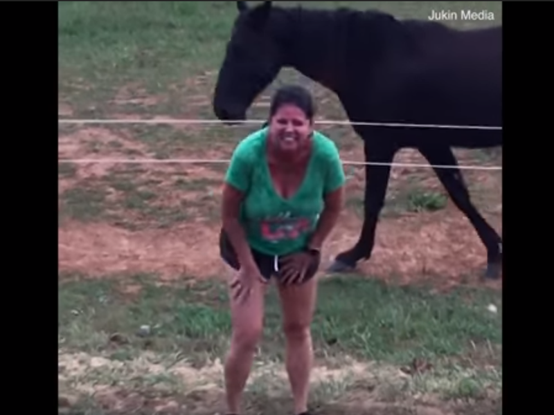 electric fence woman